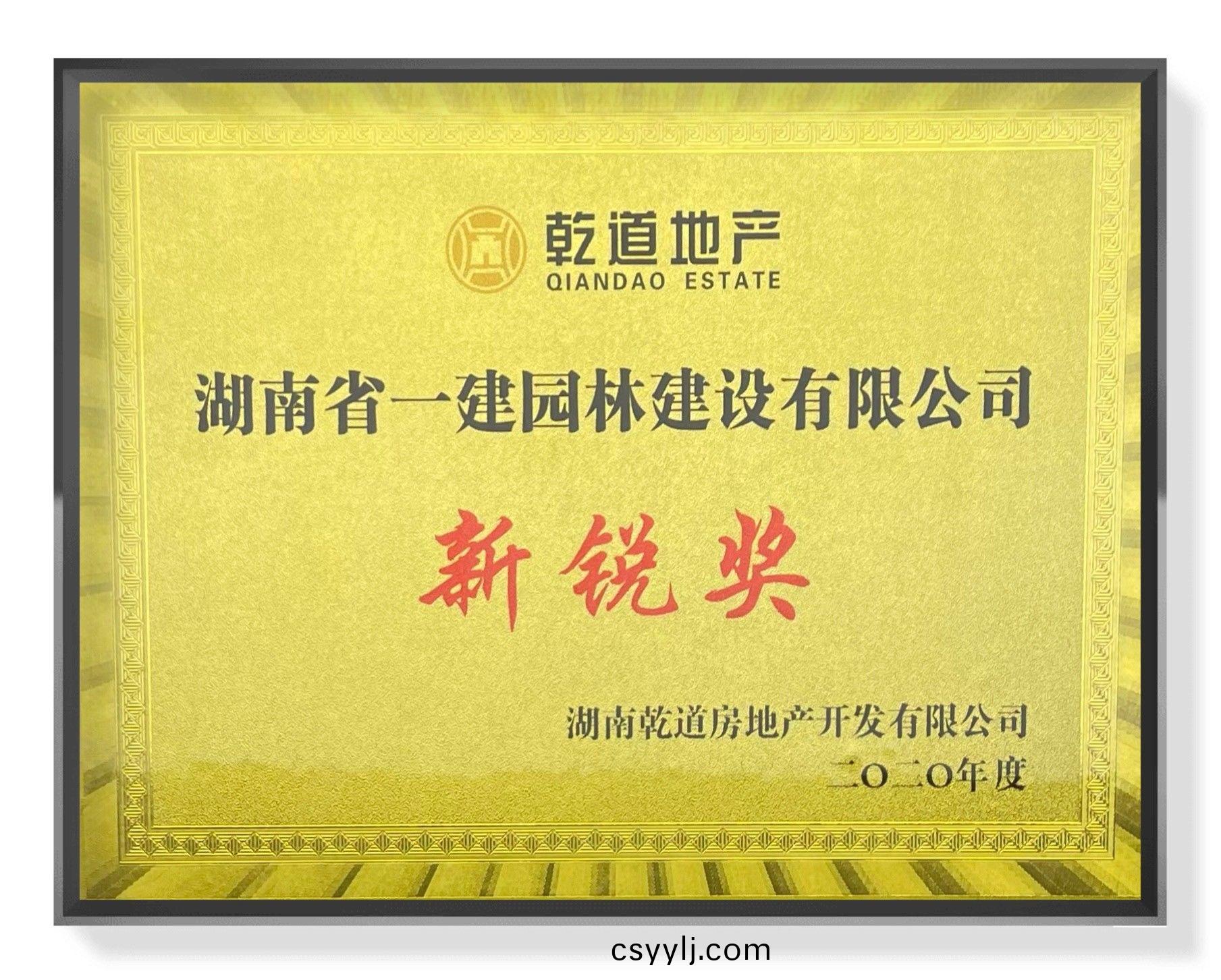 新(xin)銳獎