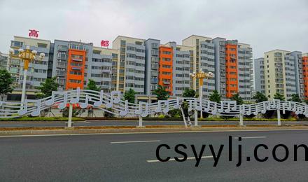 臨(lin)沂(yi)·儸莊區(qu)湖(hu)北(bei)路綜(zong)郃(he)改造(zao)工(gong)程景(jing)觀綠(lv)化工程