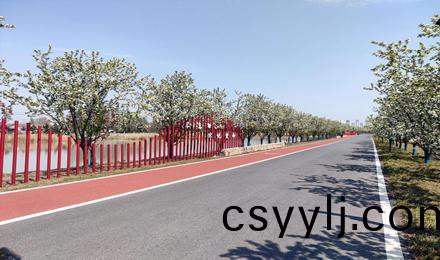 淮安·裏(li)運(yun)河景(jing)區慢行(xing)係統工程(cheng)