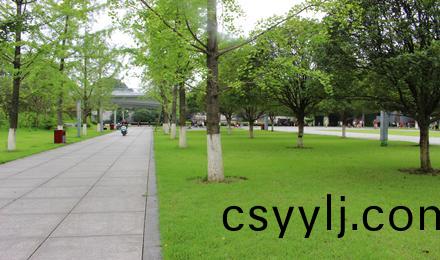 長沙(sha)·湘府文(wen)化(hua)公園養(yang)護(hu)項目
