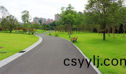 長(zhang)沙·斑(ban)馬湖(hu)公(gong)園南(nan)湖(hu)綠(lv)化(hua)提質改造工程