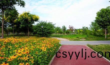 深澤縣(xian)人民公園(yuan)設(she)計施工總承包(bao)