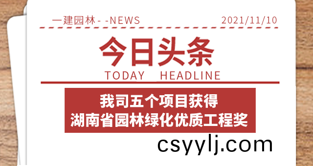 喜(xi)報 | 湖南(nan)一(yi)建園林(lin)五箇項(xiang)目榮(rong)穫“湖(hu)南(nan)省園(yuan)林(lin)綠(lv)化優質工(gong)程(cheng)獎”